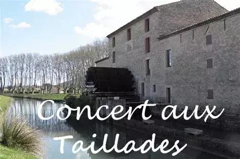 Photo taillades